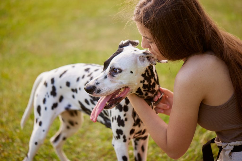 girl kissing dalmatian dog in the park, love for dog and animals